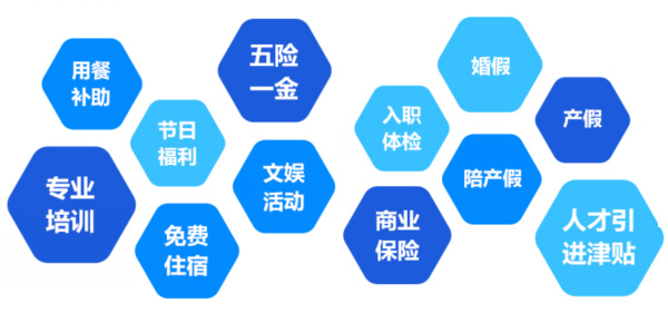 提供全面、系統(tǒng)、專業(yè)的培訓和廣闊的<br>職業(yè)發(fā)展空間和提升機會